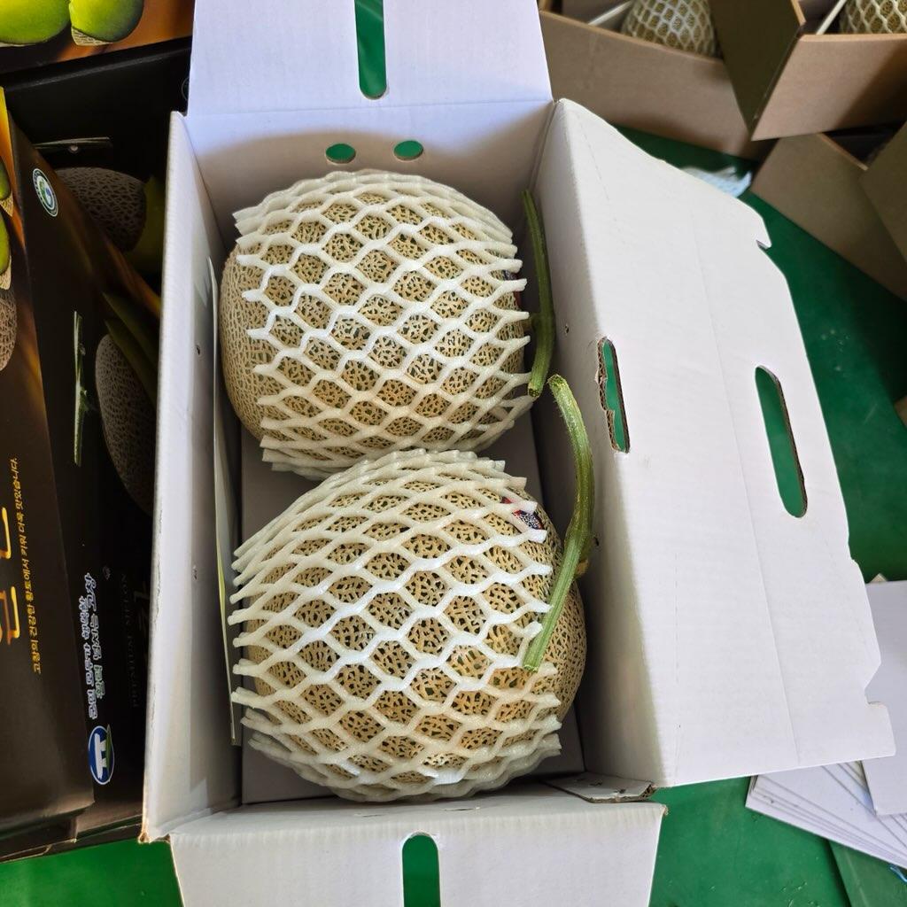 [고창메론] 프리미엄 고당도 고창 메론, 2구(6kg 이상)